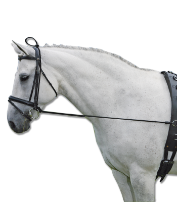 Waldhausen joustochambon