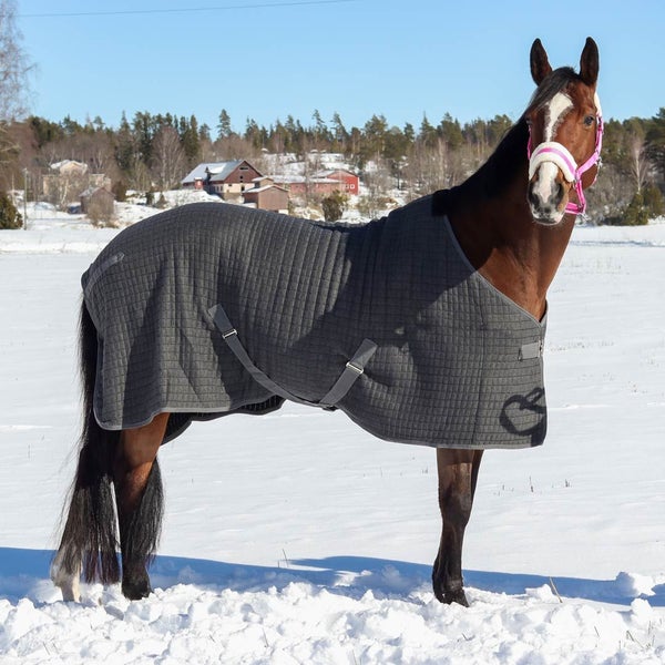 Best on Horse Thermo Cooler loimi