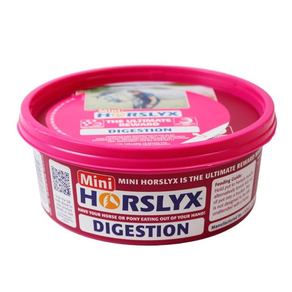 Nuolu-/koulutuskivi Mini Digestion 650g Horslyx