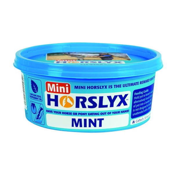 Nuolu-/koulutuskivi Minttu 650g Horslyx