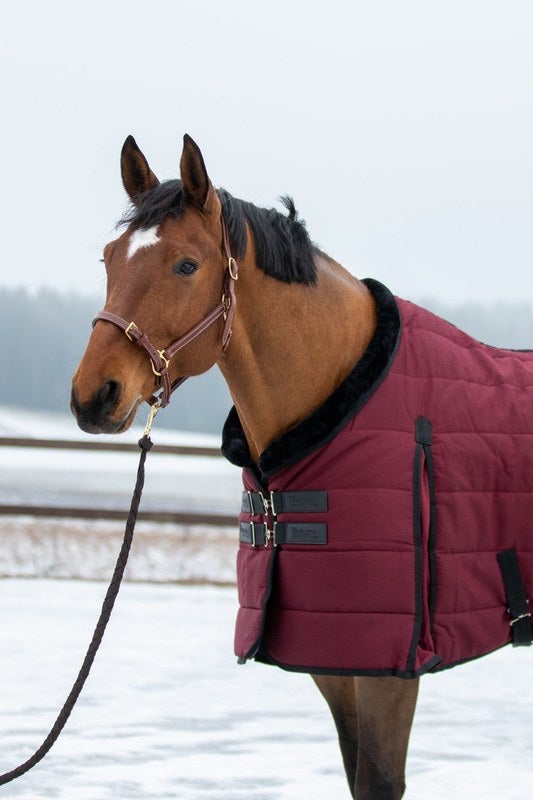 Wahlsten Leona 200g talli-/alusloimi