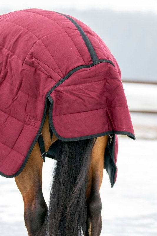 Wahlsten Leona 200g talli-/alusloimi