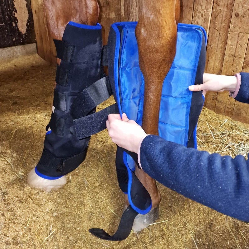 Equitare kylm&auml;yssuojat pr